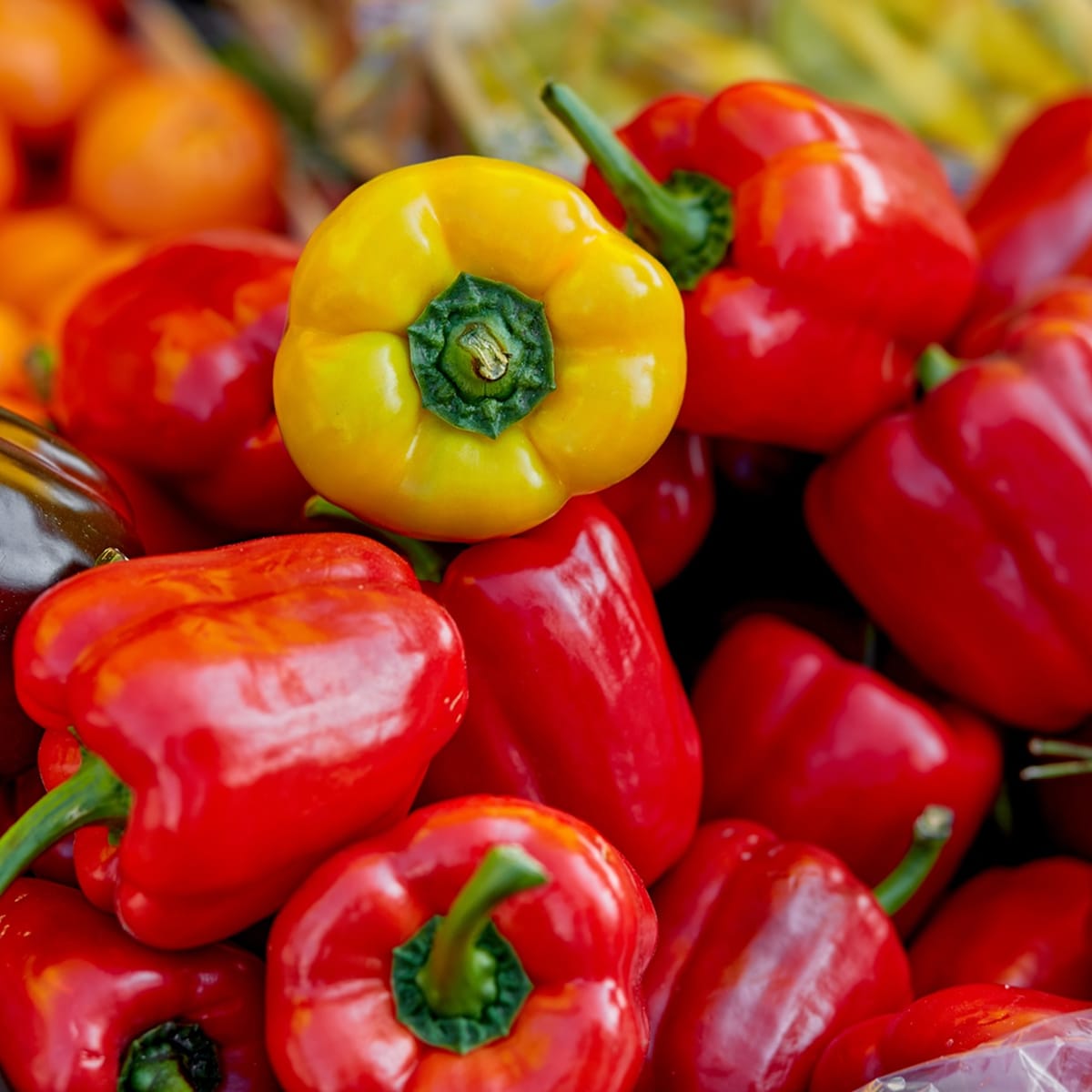 Réveillez votre Passion Culinaire