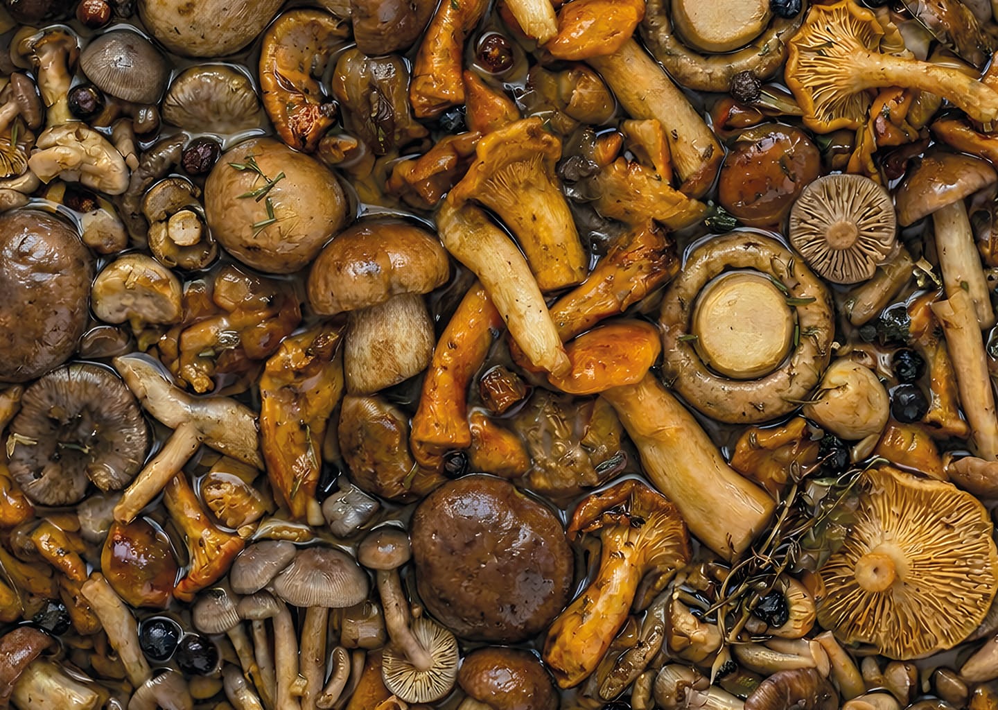 Gemengde Champignons