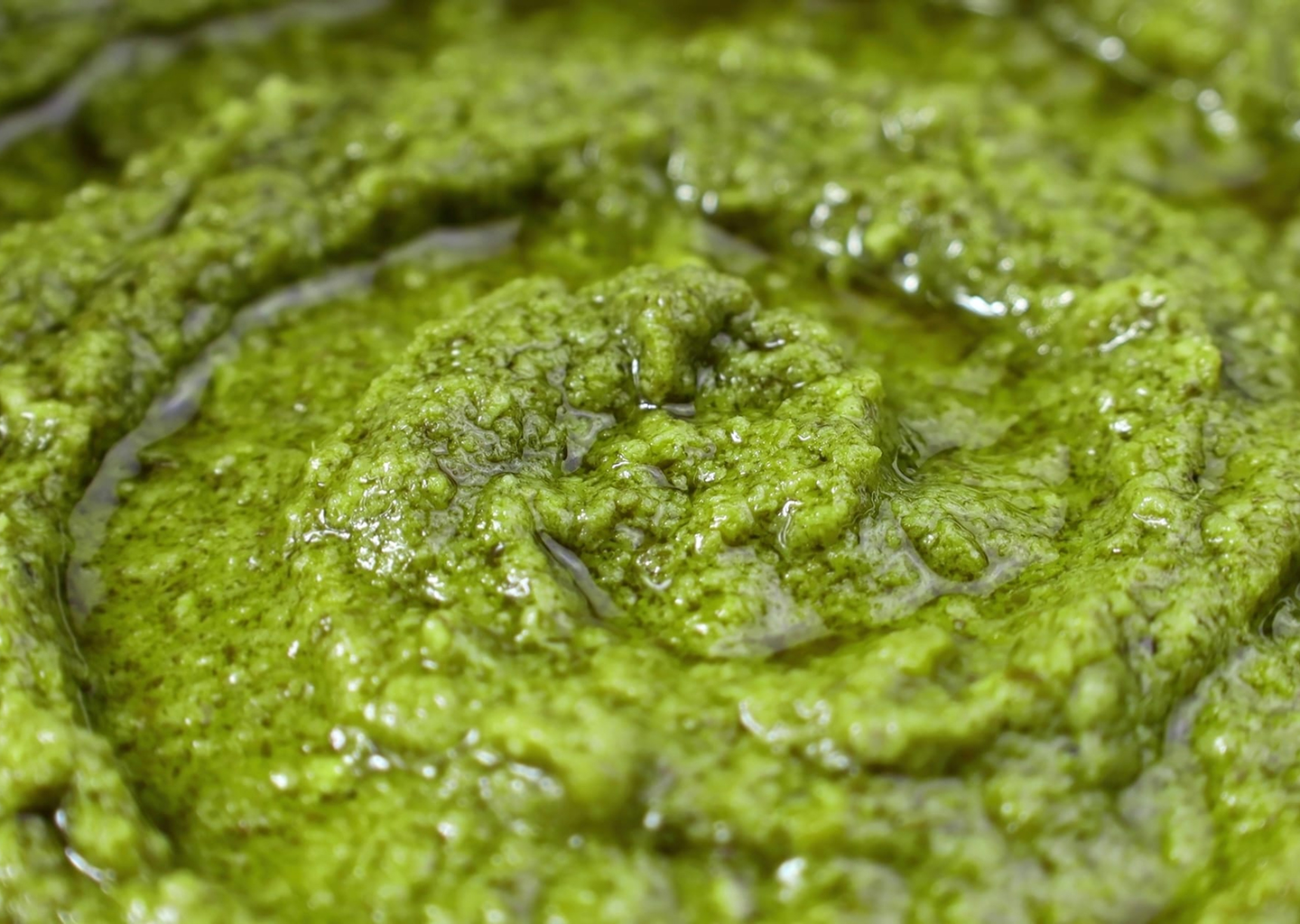 Pesto van Rucola